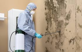 Best Mold Remediation for Healthcare Facilities  in Centereach, NY